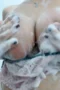 violine 46356867978089796 1 Tobrut Mandi Gosok Memek Violine